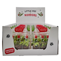 2" Carnivorous Collection (Pack of 10)
